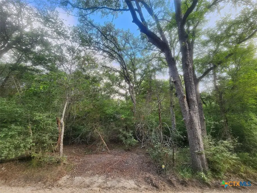 TBD Post Oak Rim, Bastrop, TX 78602 - #3