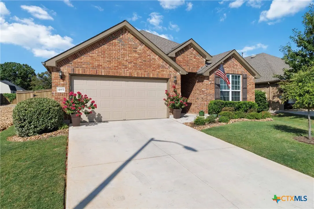 485 Rosemellow Street, New Braunfels, TX 78132 - #1