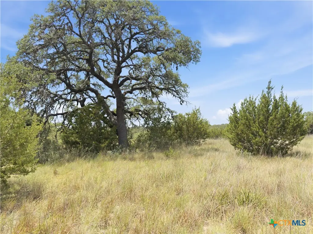 963 Summit Ridge Trail, Johnson City, TX 78636 - #1