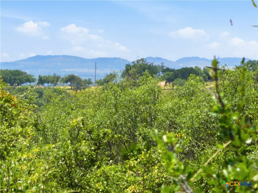 963 Summit Ridge Trail, Johnson City, TX 78636 - #2