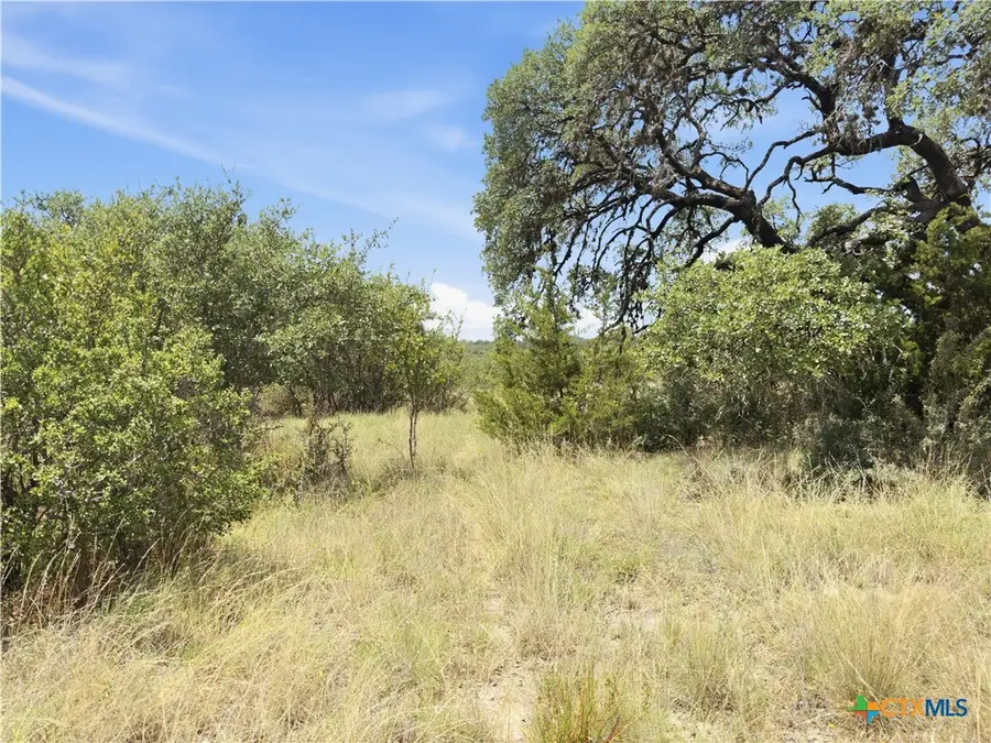 963 Summit Ridge Trail, Johnson City, TX 78636 - #3
