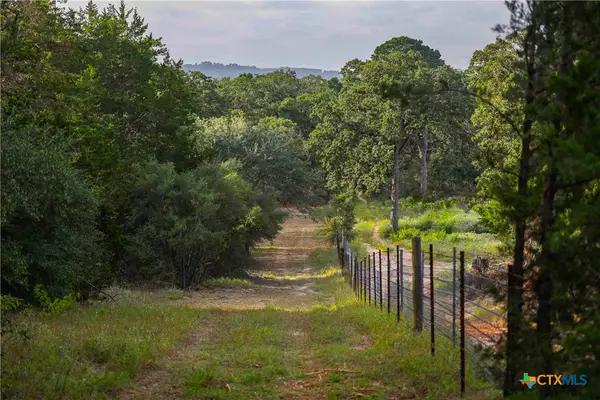 TBD Stiewert Lane, Paige, TX 78659