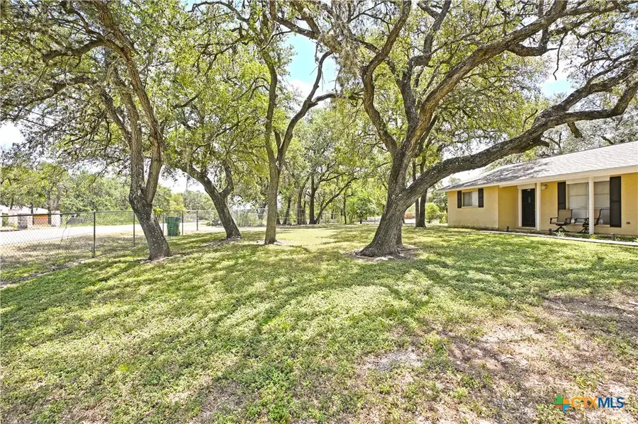 321 High Low Drive, New Braunfels, TX 78132 - #2