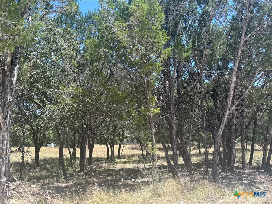 219 County Road 4360, Lampasas, TX 76550 - #2