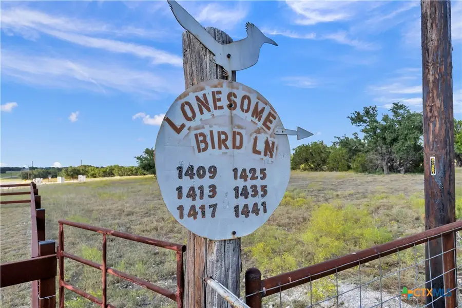 TBD Lonesome Bird Lane, Burnet, TX 78611 - #3