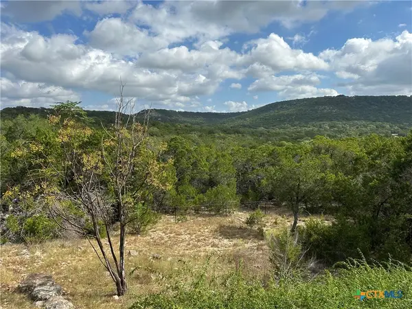 737 Flaman Road, Canyon Lake, TX 78133