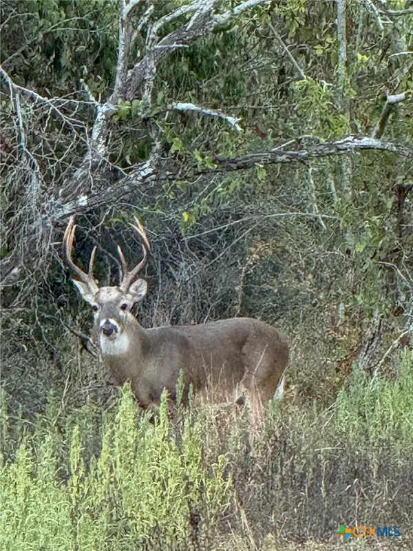 000 County Road 322, Shiner, TX 77984