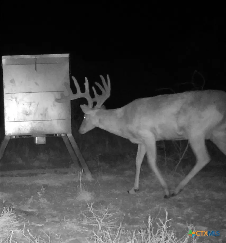000 Fm 239, Tivoli, TX 77990 - #3