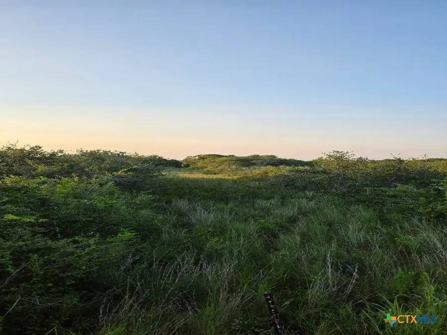 000 Carabajal Road #Tract 1547, Seadrift, TX 77983 - #2
