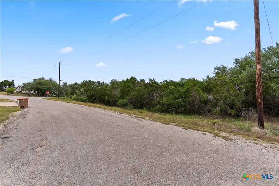 204 Freedom Street, Fischer, TX 78623 - #3