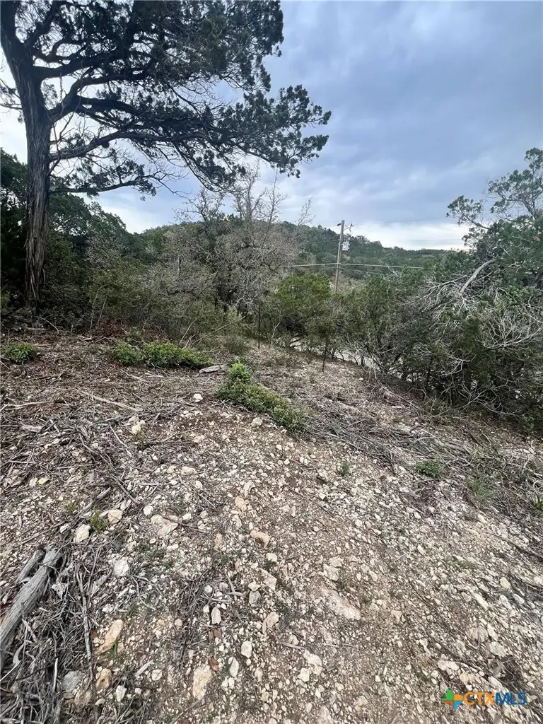 19705 Tyler Trail, Leander, TX 78645 - #3