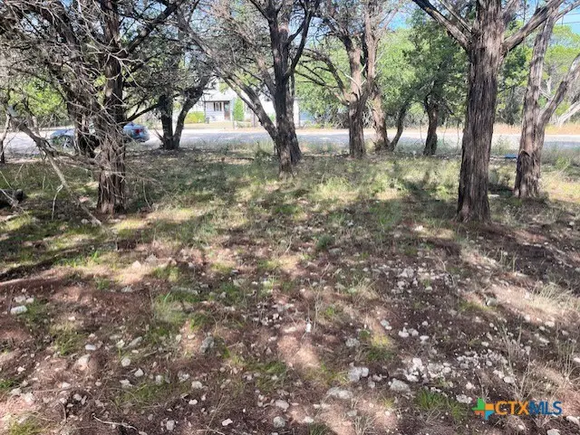 0 Lakepark Drive, Pipe Creek, TX 78063 - #2