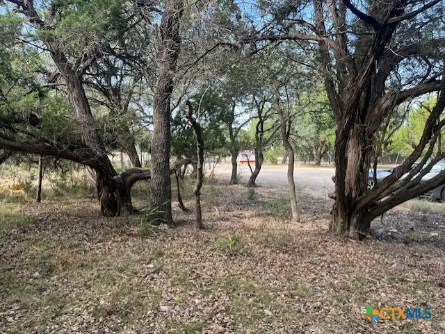 0 Lakepark Drive, Pipe Creek, TX 78063 - #3