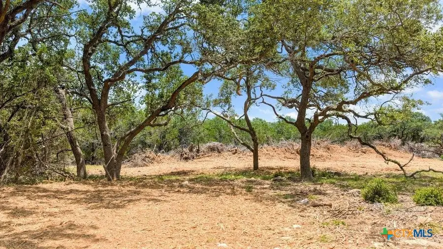 Tract 8 Cypress Cove Road, Spring Branch, TX 78070 - #2