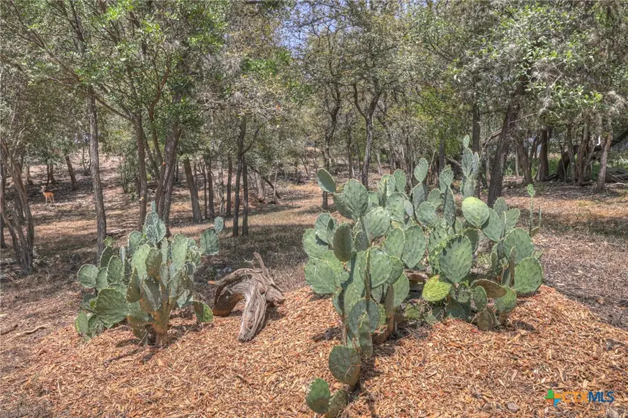 400 Quarry Street, San Marcos, TX 78666 - #2
