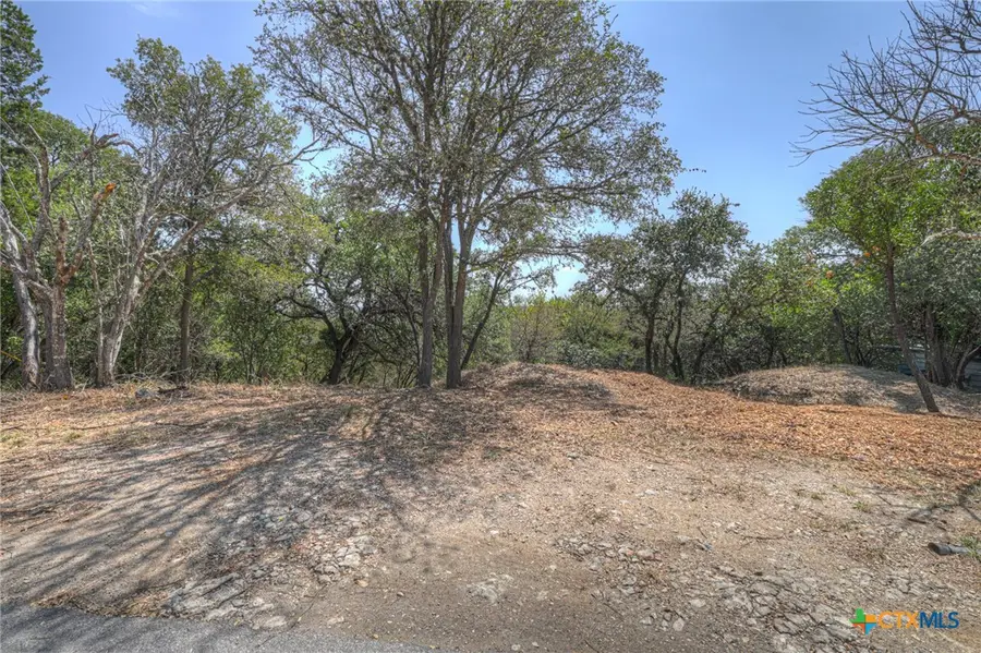 1019 Burleson Street, San Marcos, TX 78666 - #2