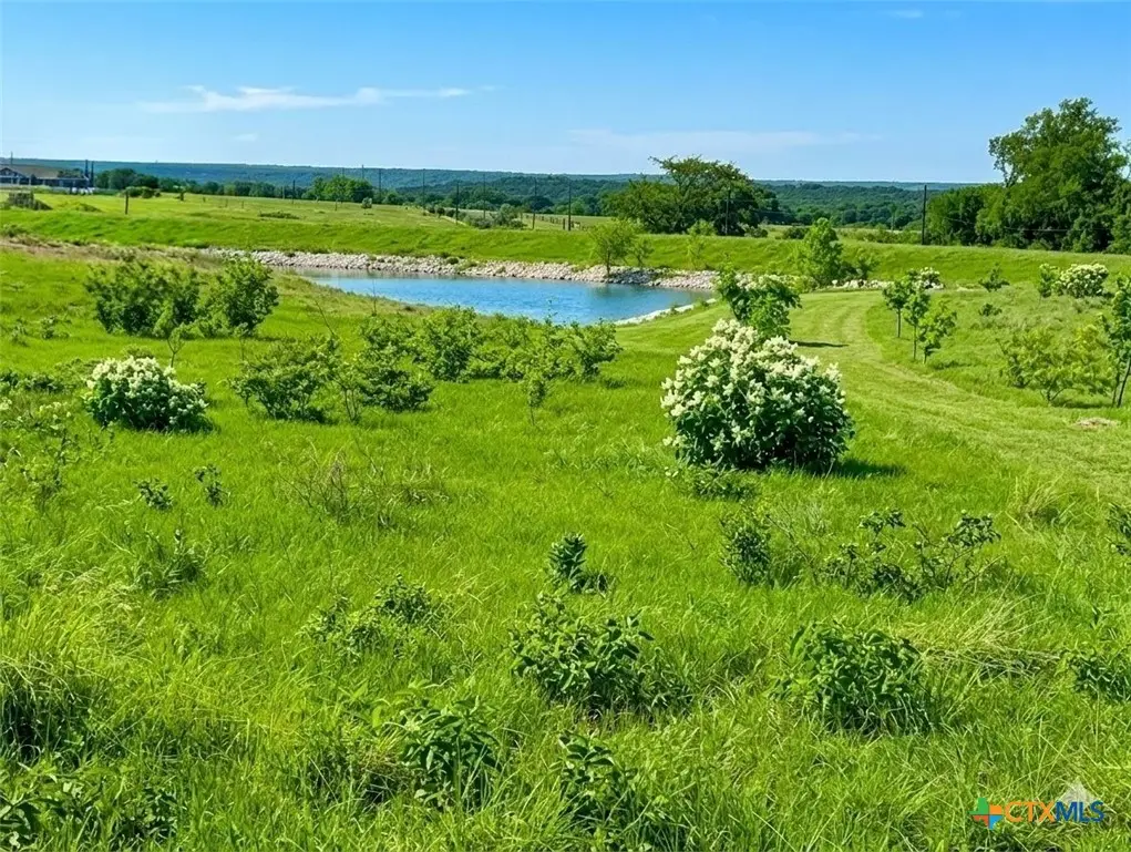 135 County Road 360, Gatesville, TX 76528 - #1