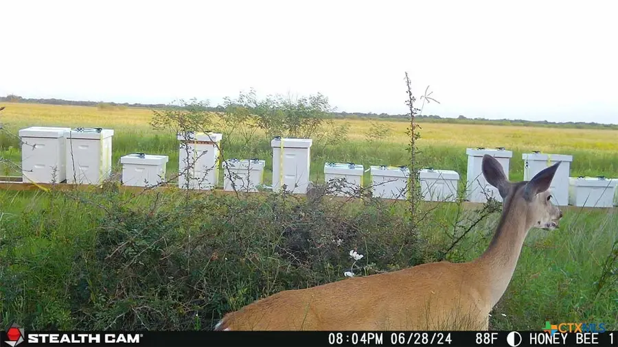 000 County Road 18 20.49 Acres Tract 1, Hallettsville, TX 77964 - #2