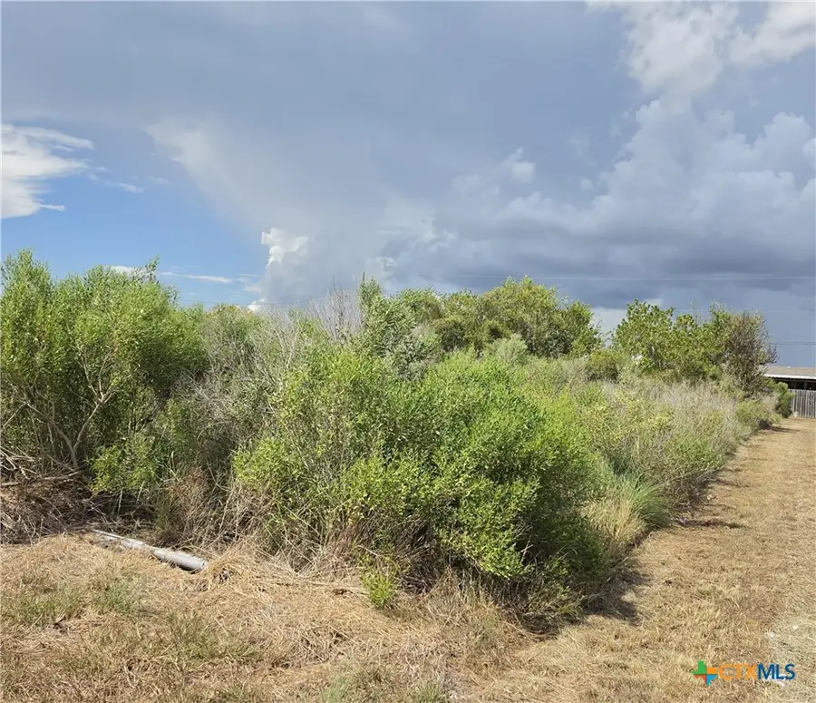 704 W Toledo Avenue, Seadrift, TX 77983 - #3