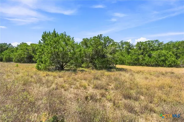 TBD LOT 2 (10.68 Ac) Lipan Run, Fischer, TX 78623
