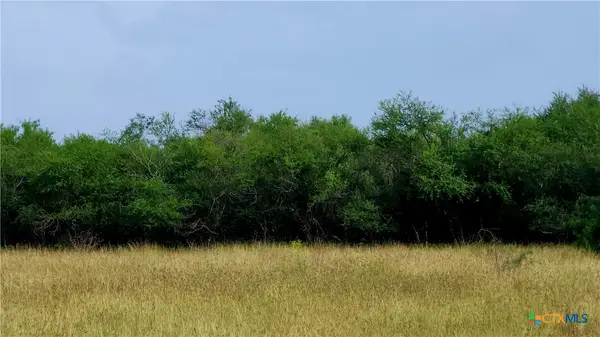 00 San Antonio River Road, Victoria, TX 77905