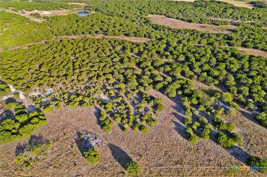Lot 17 Rolling Hills Drive, Lampasas, TX 76550 - #3