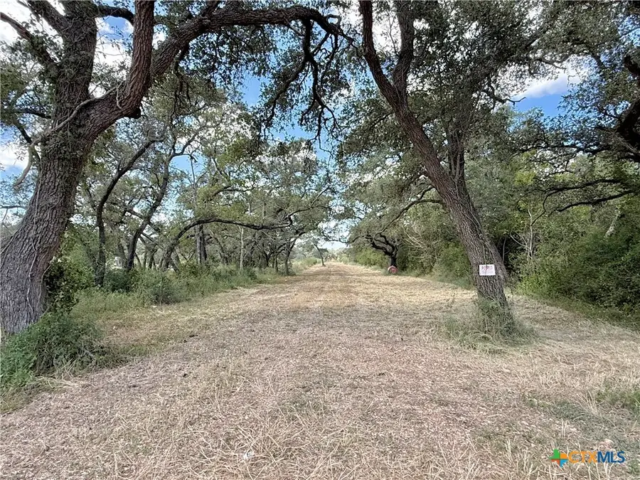 4668 Old Hwy Rd, Inez, TX 77968 - #3