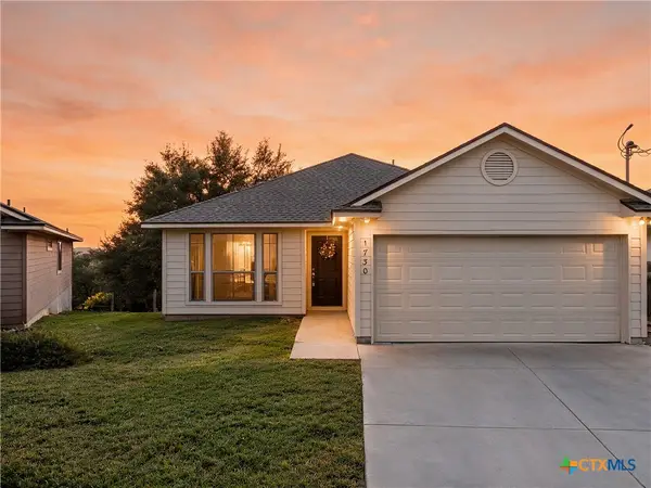 1730 Sorrel Creek Drive, Canyon Lake, TX 78133