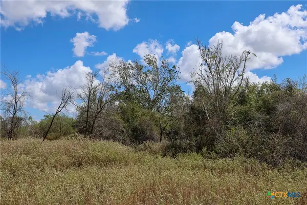 TBD Parsons Road, Victoria, TX 77904