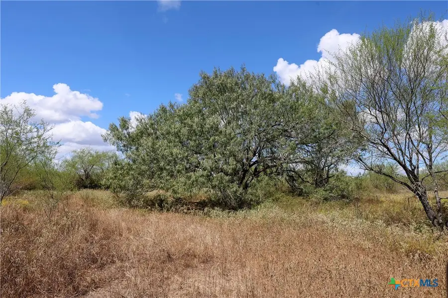 TBD Parsons Road, Victoria, TX 77904 - #2