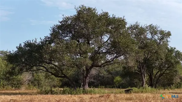 251 Old Goliad Road, Refugio, TX 78377