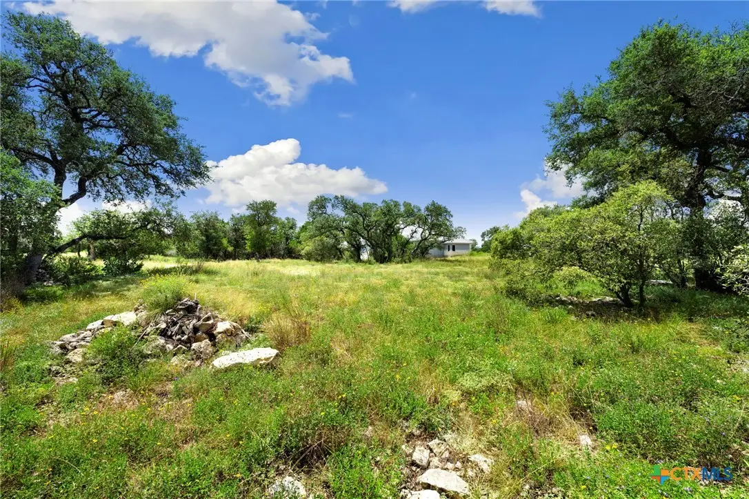 1772 Demi John Bend Road, Canyon Lake, TX 78133 - #1