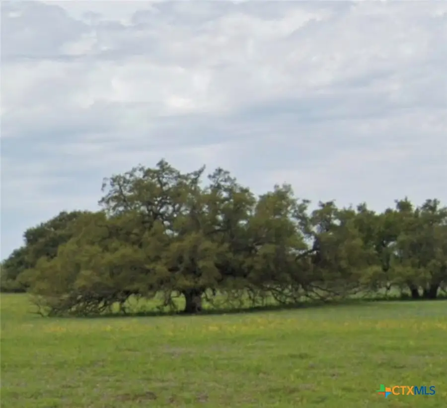 TBD State Highway 123 S, Stockdale, TX 78160 - #2