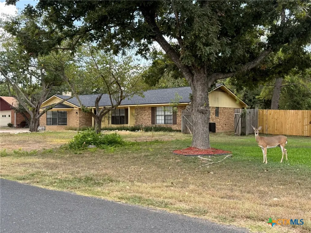 189 Woodland Trail, Belton, TX 76513 - #1