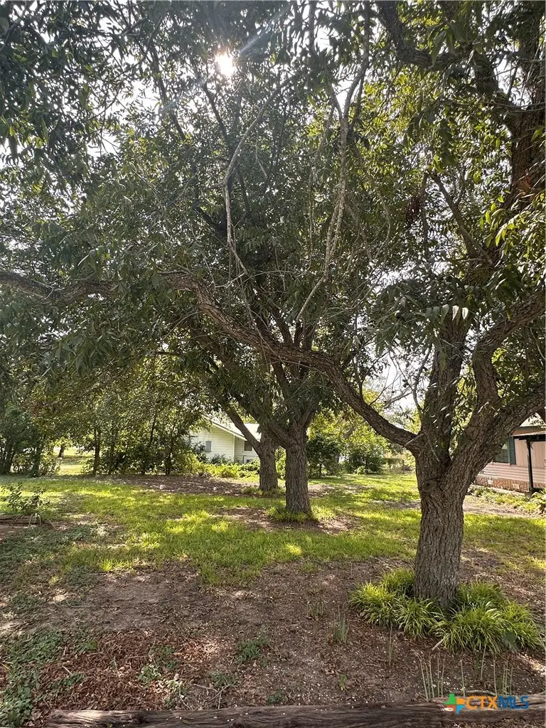 9732 Fm 621, Staples, TX 78670 - #3