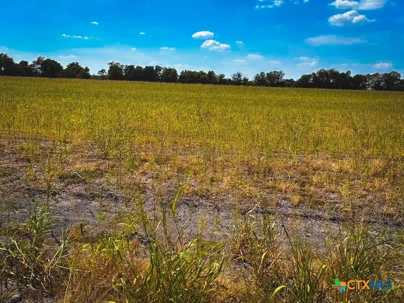 TBD Cr 3061, Thorndale, TX 76577 - #1