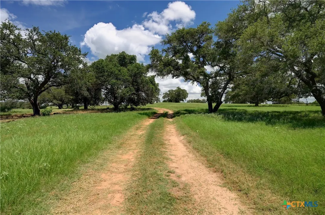 2901 Mule Creek Road, Harwood, TX 78632 - #1
