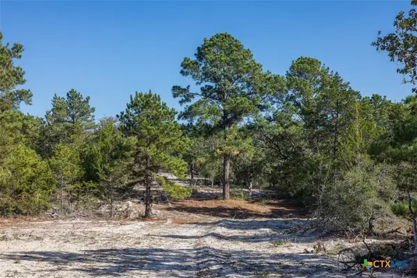 555 Altamira Lane, Dale, TX 78616