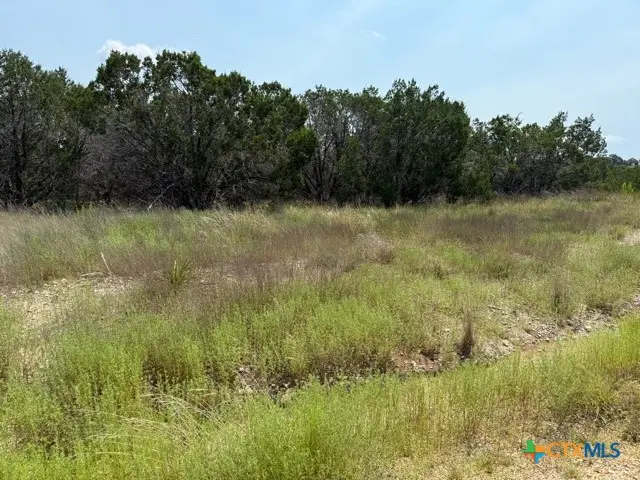 1672 Noble Trail, Canyon Lake, TX 78133 - #2