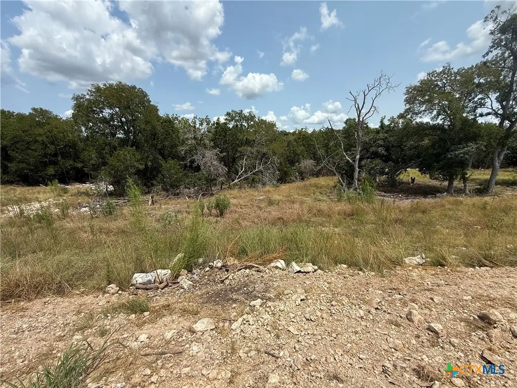 1432 Stahlman Way, New Braunfels, TX 78132 - #1
