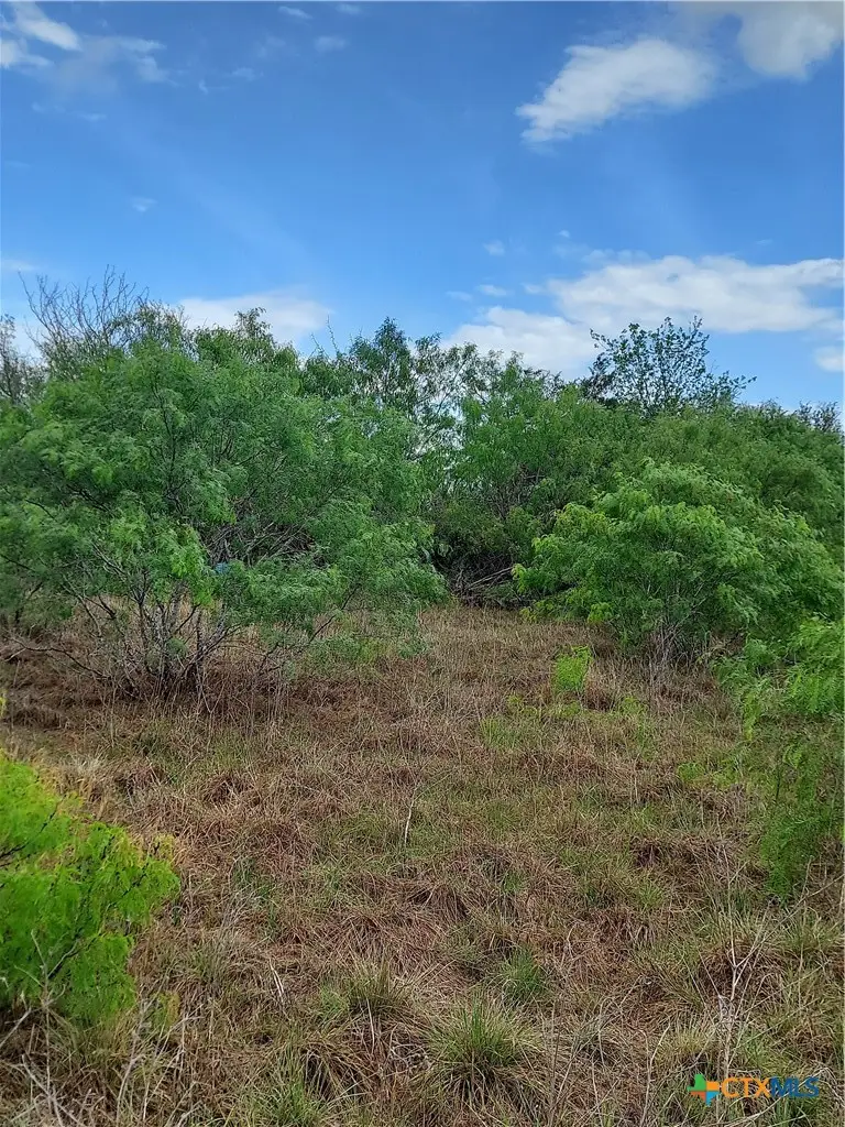 1060 Lot#4 Fox Lane, Lockhart, TX 78644 - #2
