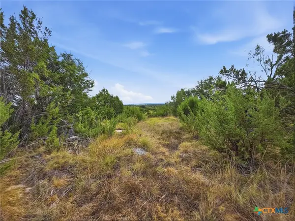 Lot 1 Cr 607, Hamilton, TX 76531