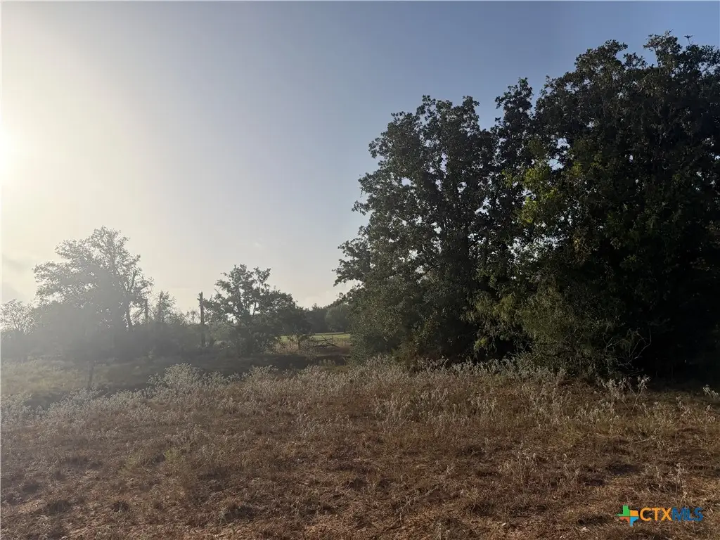 3841 County Road 427, Stockdale, TX 78160 - #1