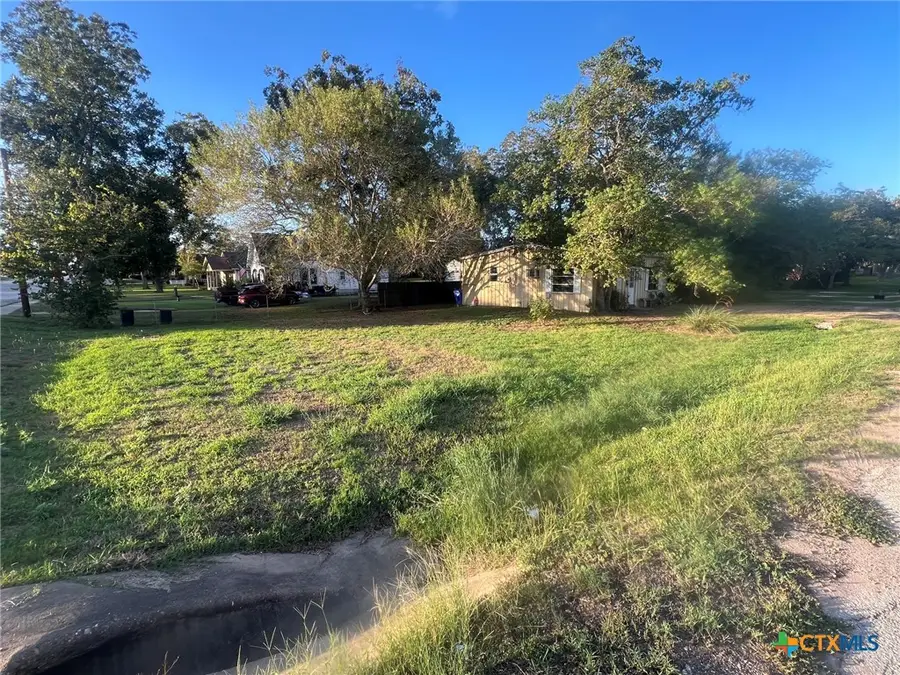 101 Walter Street, Yoakum, TX 77995 - #3