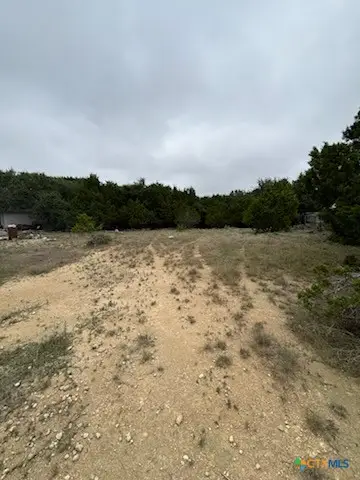 2306 Deer Run Pass, Canyon Lake, TX 78133 - #2