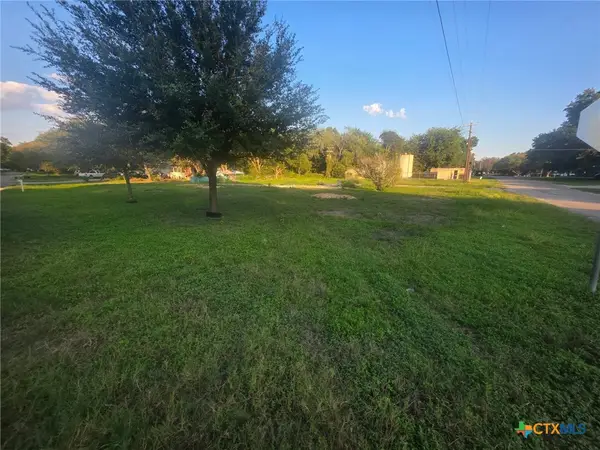 309 Willow Drive, McQueeney, TX 78123