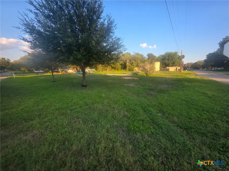309 Willow Drive, McQueeney, TX 78123 - #2