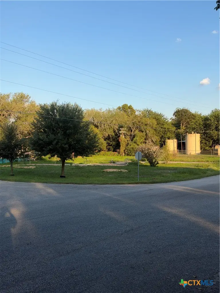 309 Willow Drive, McQueeney, TX 78123 - #3