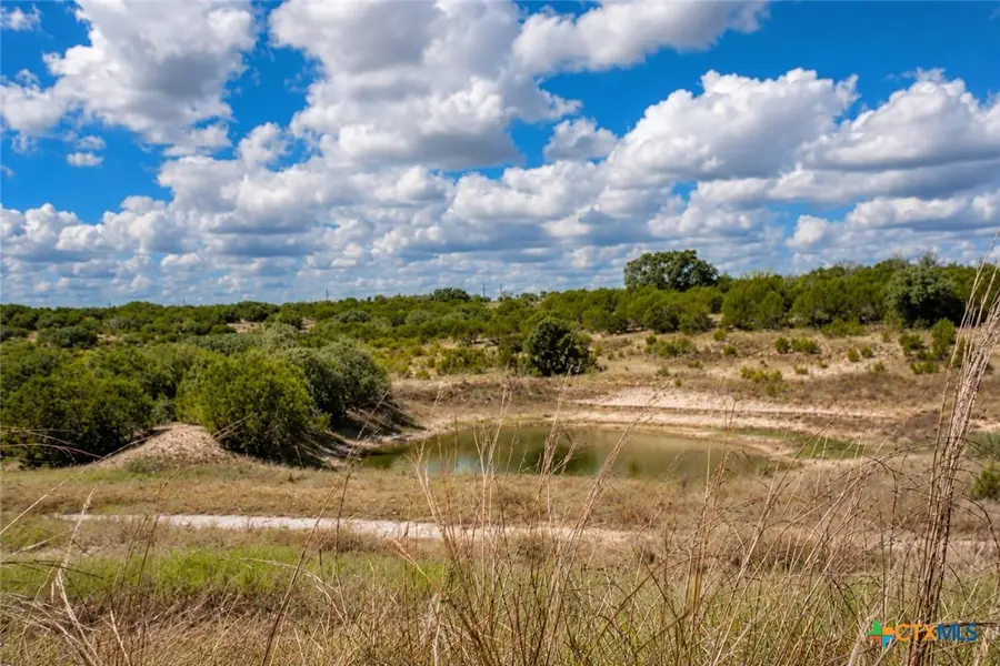 Lot 100 River Shoals Drive, Kempner, TX 76539 - #2