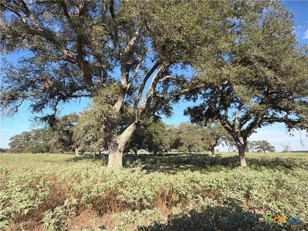 1665 Garrett Road, Yoakum, TX 77995 - #1